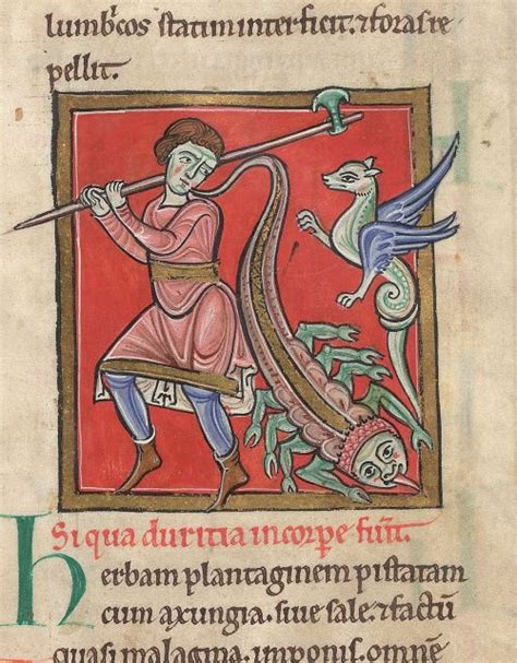 Caption competition August 2018 | Medieval books, Illuminated ...