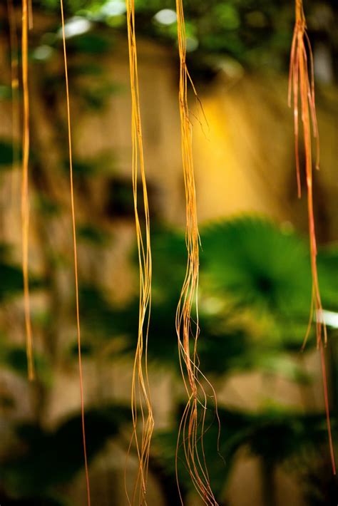 Moon Maison Cafe | Ho Chi Minh City