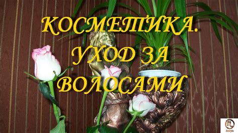 Косметика профессиональная для ухода за волосами марки "NEXXT" - YouTube
