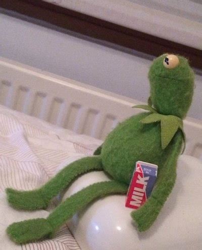 thank you for all of the Kermit reaction memes you’ve given me ...