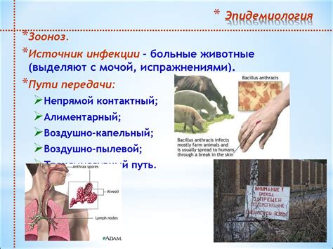 Особо опасные инфекции - презентация онлайн