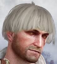 Шани (Shani) :: Witcher Персонажи :: The Witcher (Ведьмак, Witcher ...