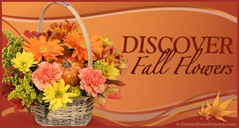 Top 10 Flowers for Fall & How You Can Use Them