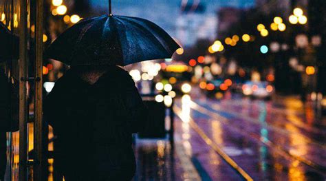 25 Beautiful Examples of Bokeh Photography — Speckyboy