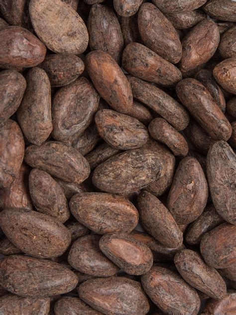 Cacao beans