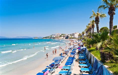 Turkey On Beach