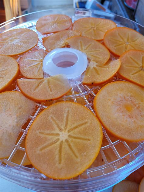 I dehydrated persimmons for the... - Farmers Wife Homestead