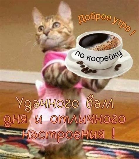 Картинки прикольного дня смешные с надписями