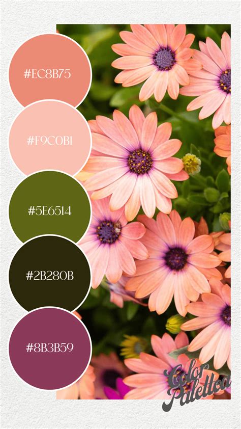 Hex Color Palette, Spring Color Palette, Color Schemes Colour Palettes ...