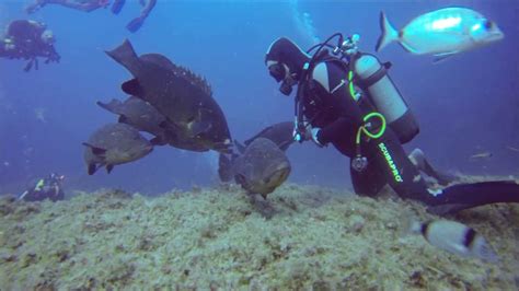 GoPro Hero 3, Bonifacio / Corse, plongées aux îles Lavezzi (Merouville ...