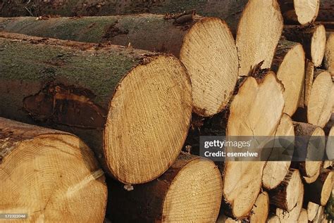 Logs High-Res Stock Photo - Getty Images