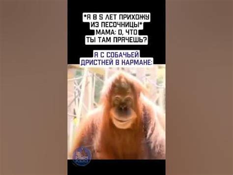 Искал золото, а нашел алмазы | мем #мемы #мем #юмор #приколы #жиза ...