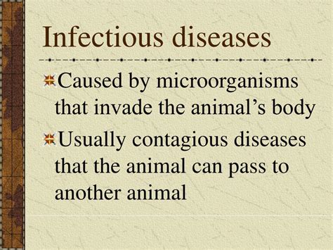 PPT - Animal Diseases PowerPoint Presentation, free download - ID:6129086