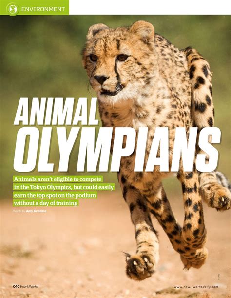 How It Works Magazine - Issue 153 Subscriptions | Pocketmags