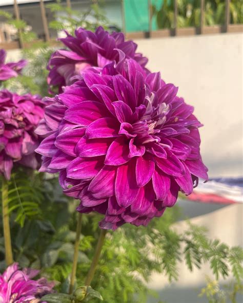 Curvy Gem 💎 (@thatcurvygem) • Instagram photos and videos