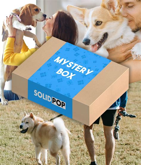 Dog Owner Mystery Box – SOLIDPOP