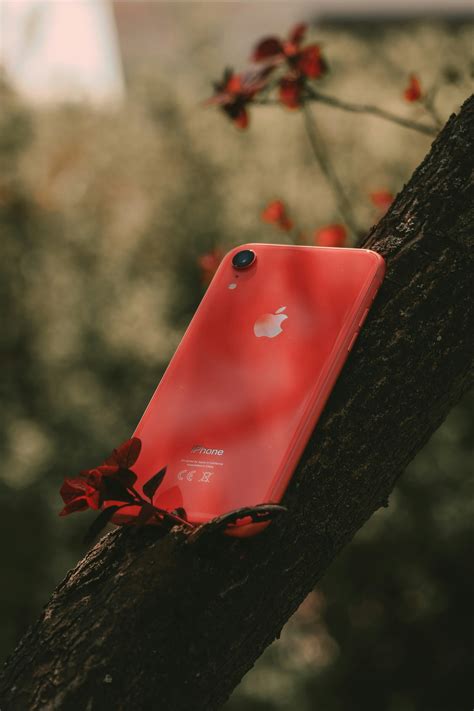 Iphone 7 Photos, Download The BEST Free Iphone 7 Stock Photos & HD Images