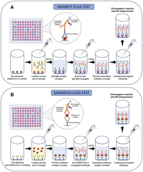 International Journal of Molecular Medicine