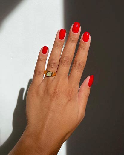 5 Most Expensive-Looking Nail Colours to Wear This Summer | Who What Wear