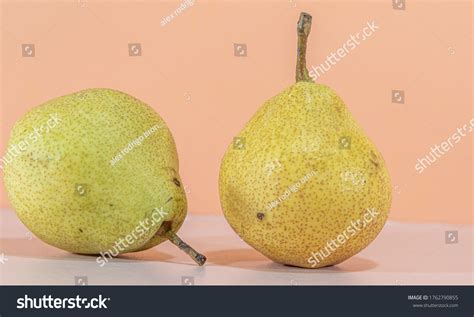 Fresh Fruits Park Pyrus Spp On Stock Photo 1762790855 | Shutterstock