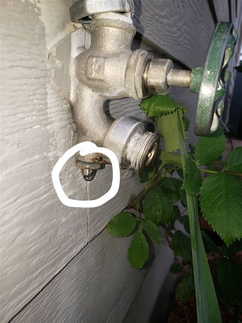 Top 5 Questions About The Annixpress Leaks Answered By Industry Experts Image 13