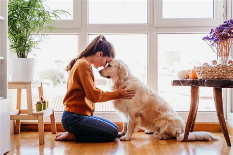 Guide To Choose Dog Gender For A First Time Dog Owner - Premium Pet House