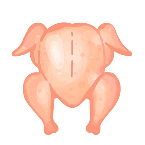 Raw Chicken PNGs for Free Download