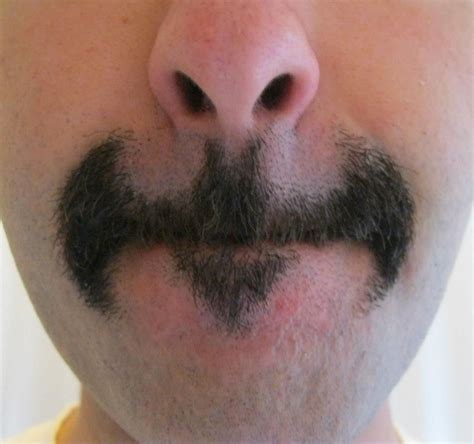 If you're going to have facial hair... Funny Dog Photos, Funny Dog ...