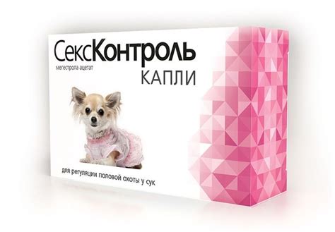 6 противозачаточных препаратов для собак: уколы, таблетки и капли ...