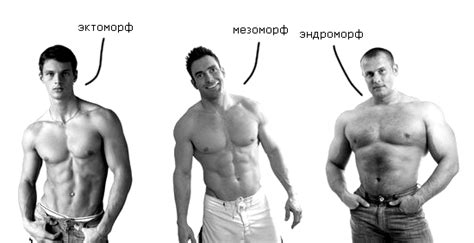 three pictures of men with different body types