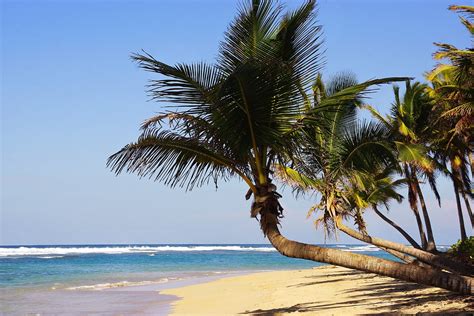 Kostenloses Foto: Punta Cana, Bavaro, Strand - Kostenloses Bild auf ...