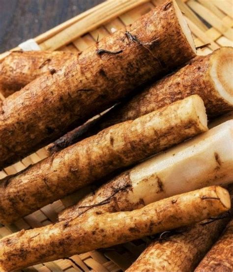 burdock root  vegan