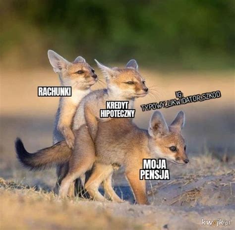 Korporacja - Najlepsze memy, zdjęcia, gify i obrazki - KWEJK.pl
