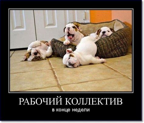 Картинки про работу смешные с надписями (168 картинок)