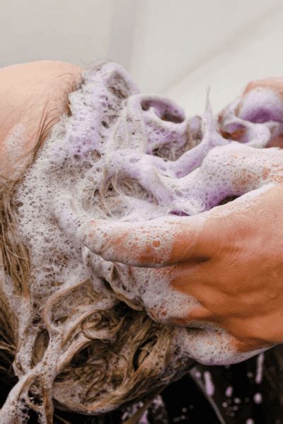 What Does Purple Shampoo Do To Natural Blonde Hair? - Essential Moves ...