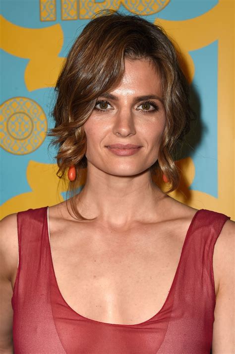Experts Weigh In: The Untold Story Of Stana Katic's Private Family Life. Image 8