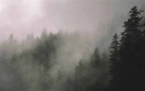 iphone wallpaper outdoors 3