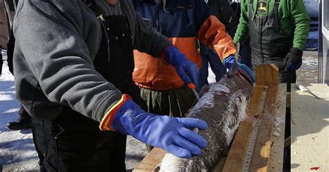 The fdlreporter obits story that caught everyone off guard 6