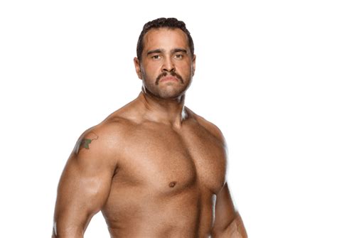 Rusev / Miro: Profile, Career Stats, Face/Heel Turns, Titles Won ...