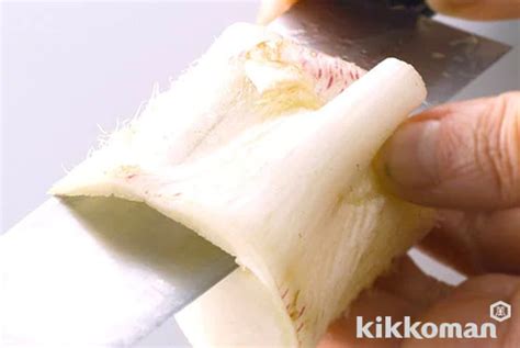 Udo vegetable | How to prepare vegetables | Kikkoman Corporation