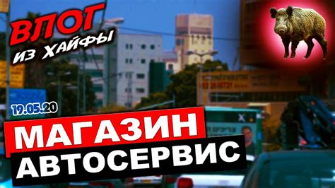 🐗Хайфа влог 🔥магазин 🔥 СТО. 🔥Израиль - YouTube