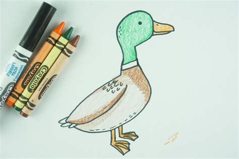 ️ How to Draw: A Duck