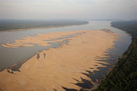 Entenda como o El Niño provoca a seca mais severa em 40 anos na Amazônia
