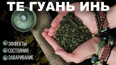 Те Гуань Инь эффект | как заварить - YouTube