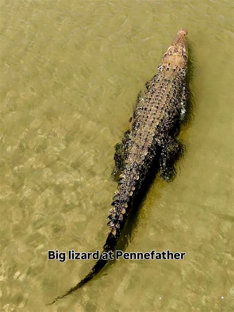 Jaylie Tori - Jaylie Tori added a new photo — in Cape...