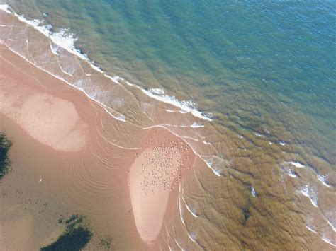 Aerial View of Ocean Waves · Free Stock Photo