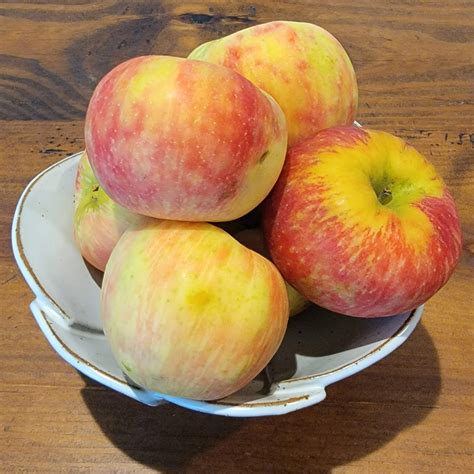 Honeycrisp applesauce - naturally sweet - Wander. Cook. Eat.