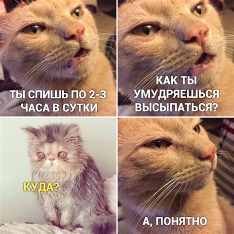Смешная картинка №454139 - Прикол, мем про КАК ТЫ УМУДРЯЕШЬСЯ ...