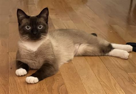 Investigative Report: Uncovering The Nala Fitness Leak. Image 11