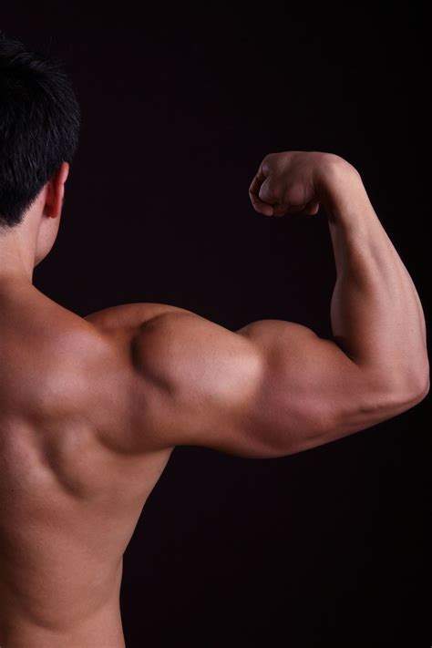 Cool scientific first: Lab-made muscle can repair itself -- and ...